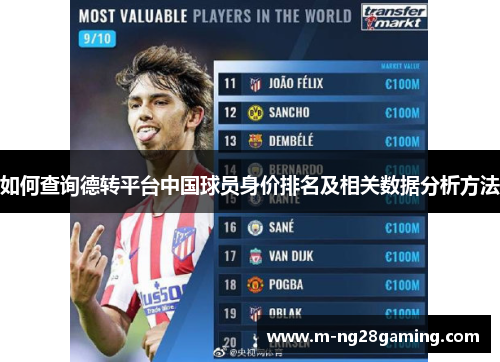如何查询德转平台中国球员身价排名及相关数据分析方法