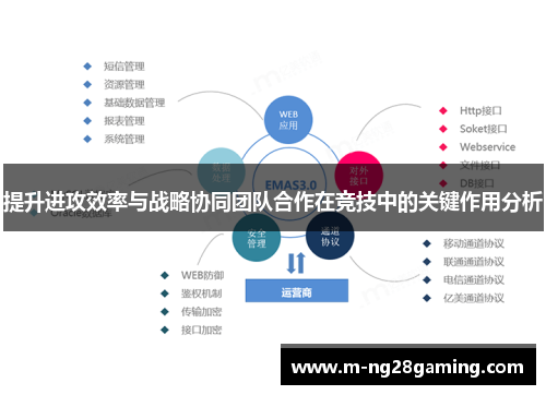 提升进攻效率与战略协同团队合作在竞技中的关键作用分析