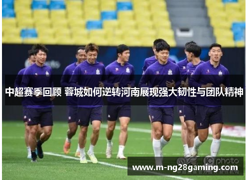 中超赛季回顾 蓉城如何逆转河南展现强大韧性与团队精神