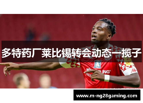 多特药厂莱比锡转会动态一揽子