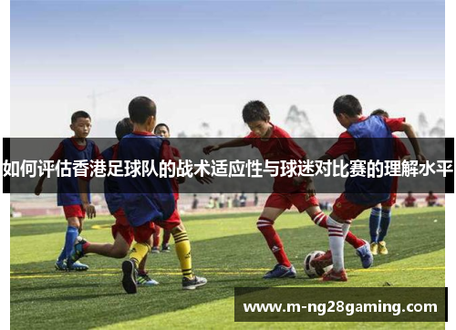 如何评估香港足球队的战术适应性与球迷对比赛的理解水平