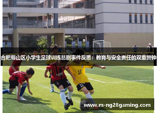 合肥蜀山区小学生足球训练悲剧事件反思：教育与安全责任的双重警钟