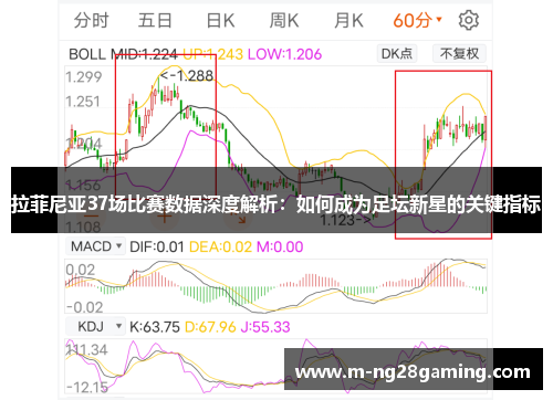 拉菲尼亚37场比赛数据深度解析：如何成为足坛新星的关键指标