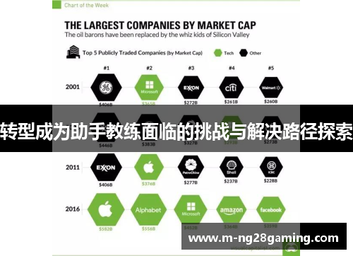 转型成为助手教练面临的挑战与解决路径探索
