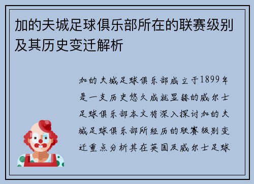 加的夫城足球俱乐部所在的联赛级别及其历史变迁解析