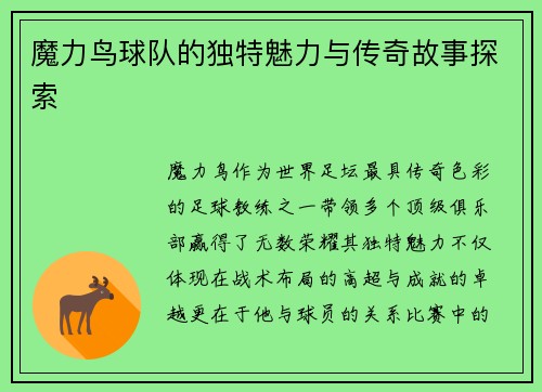 魔力鸟球队的独特魅力与传奇故事探索